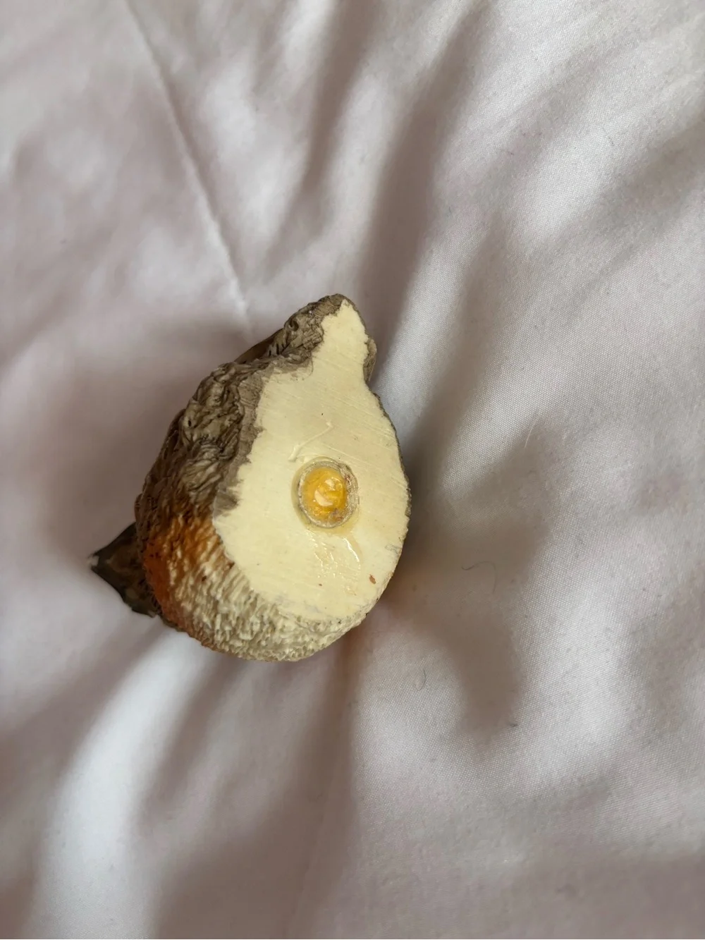 VTG 1988 UDC Backyard Birds Baby Robin Figurine Suzan Bradford